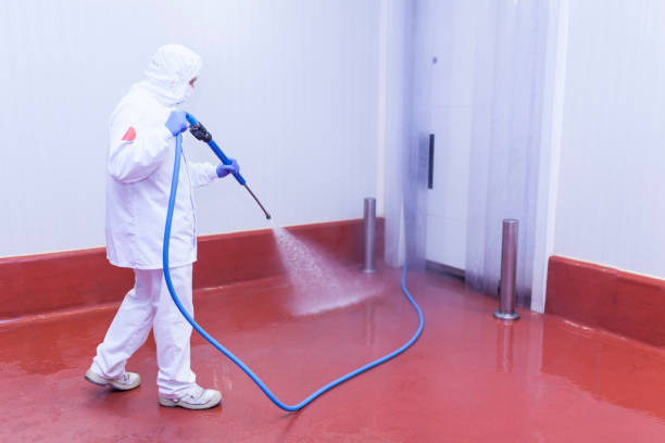  Brooklyn, IA Pressure Washing Pros